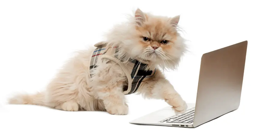 Transformação digital das empresas: confira 5 grandes desafios!
